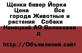 Щенки бивер Йорка  › Цена ­ 30 000 - Все города Животные и растения » Собаки   . Ненецкий АО,Волоковая д.